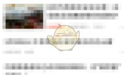搜狐网新闻爆料联系方式,揭秘新闻爆料联系方式背后的故事