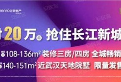 武汉李先生最新爆料新闻,揭秘XX事件背后真相