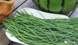 武都吃瓜网红,揭秘当地美食文化新潮流