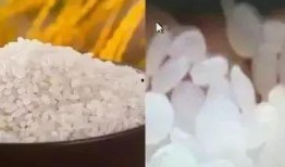爆料假大米制作过程视频,触目惊心的食品造假黑幕