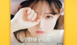 黑妞直播爆料网站视频下载,揭秘热门视频下载幕后真相
