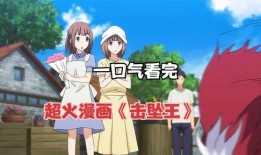 吃瓜动漫《击坠王》免费观看