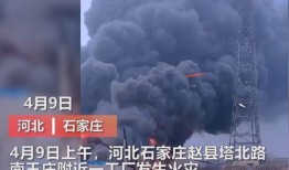 汕尾城市爆料事件视频曝光,视频曝光引发社会关注