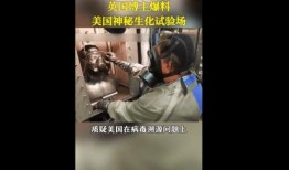 英国病毒爆料视频最新版,疫情真相与科学争议