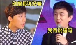 网红爆料李毅峰视频播放,播放量惊人揭秘背后真相