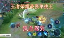 大海王者爆料视频大全,视频大全背后的精彩故事