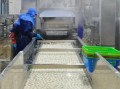 鱼丸加工厂爆料视频大全,独家爆料视频大全深度解析