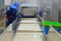 鱼丸加工厂爆料视频大全,独家爆料视频大全深度解析