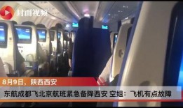 国外爆料东航事件视频播放,国外视角下的惊心动魄瞬间