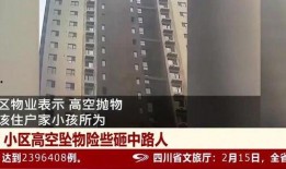 最新爆料石家庄事件,揭秘背后真相与影响